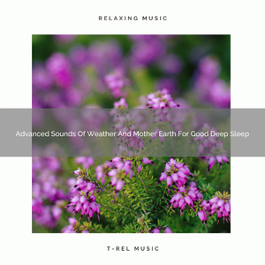 The Mother Earth Records Calming Music For Total Nap