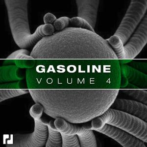 Shaker (Original Mix)