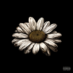 ромашковый чай