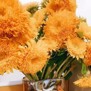 向日葵与航海家