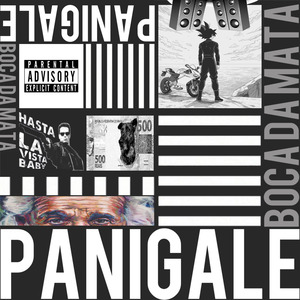 PANIGALE