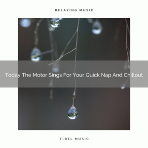 Claming Noise For Enjoy Every Day, Crowded Minds, And Complete New Approach