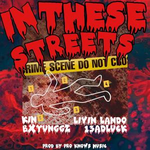 In These Streets (feat. Kin, Livin' Lando, 13aDLucK & Pro Knows Music)