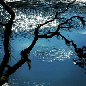 凛冬将至（钢琴）