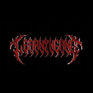 顶尖学习小组2024综合考试估题