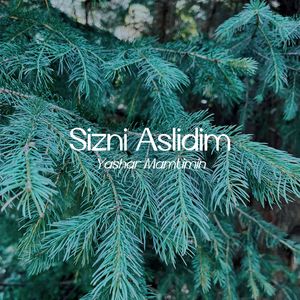 Sizni Aslidim