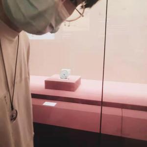 Can' help fall in love