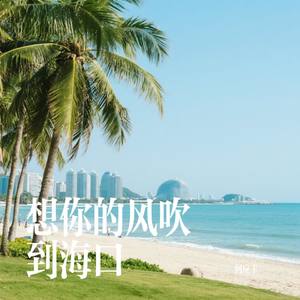 想你的风吹到海口