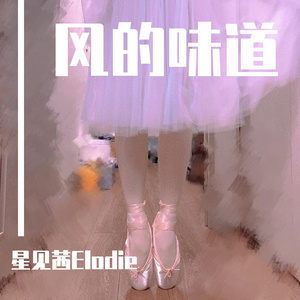 风的味道 伴奏