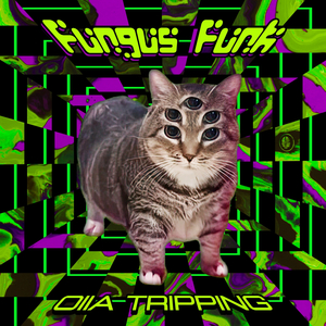 Oiia Tripping (Original mix)