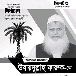 Khejur gach উবায়দুল্লাহ ফারুক সিলেট ৫ আসন খেজুর গাছ