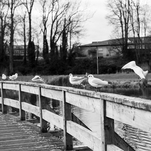 Hometime (Eastern Version)