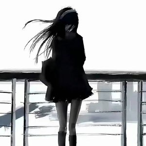 我只听他一句回答