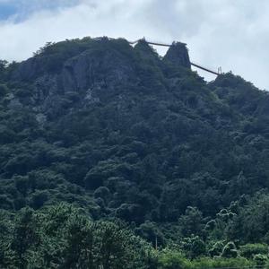 장단에인생을걸어