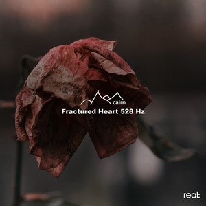 Fractured Heart 528 Hz