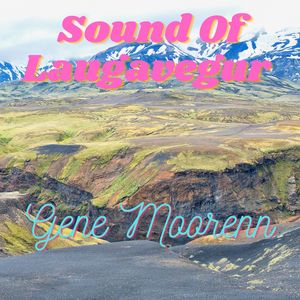 Sound of Laugavegur