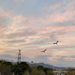 一大桶甜-今年的江滩公园没有跨年.mp3（L remix）