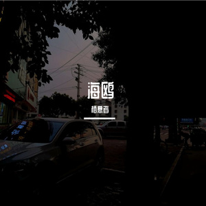 海鸥的风-整曲 伴奏