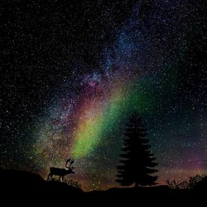 Shape Of My Heart（Remix）