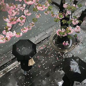 结算单UIUFG
