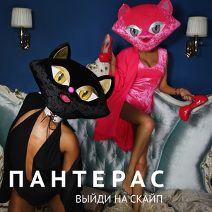 Выйди на скайп