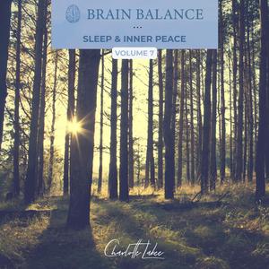 Silent Horizon (Delta 55Hz)