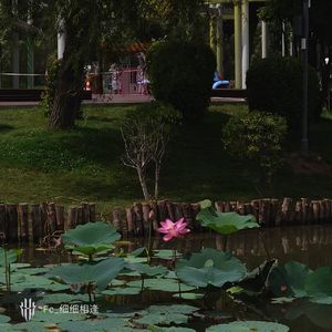 藏进心头的字 是八人谱写成诗