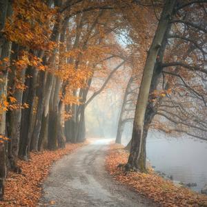 נעימות פסנתר מרגיעות לשינה, מדיטציה, הרפיה ויוגה