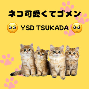 ネコ可愛くゴメン (feat. 猫の飼い主)