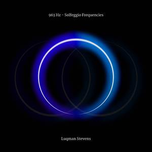 963 Hertz Remove Internal Limits