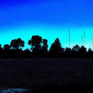 Meadow