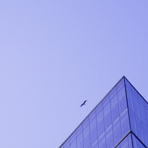 Reflejos