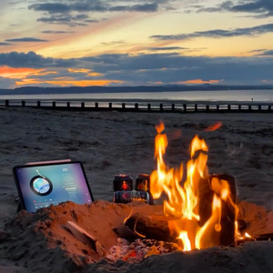 Unparalleled national scholar（国士无双）