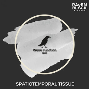 Determinism ((Original Mix))