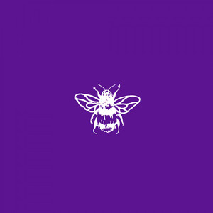 Heat Down Low (Radio Edit)