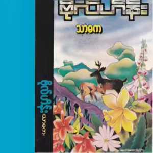 Chit Thit Sar Yin Mhar Lite Par