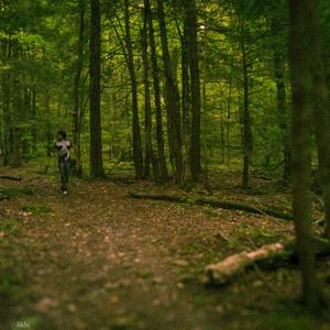 Upon This Rock, Illuminated By Light, Lies a Leaf