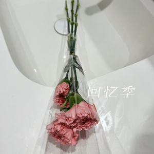 回忆季 prod.Wazier