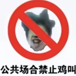 提取_20260325233138.wav