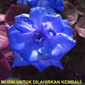 Musik Untuk Dilahirkan Kembali