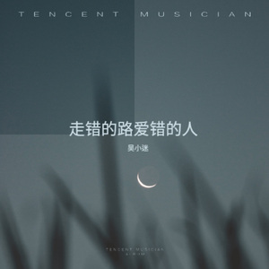 走错的路爱错的人