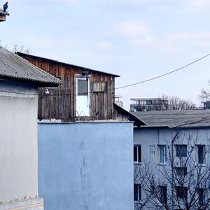 Suicide Door (feat. Stemodity)