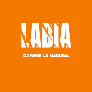 Labia