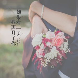 如果有一天我离开了你