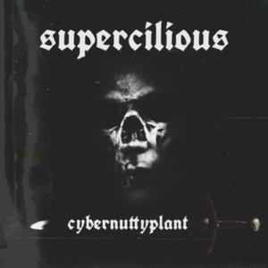 Supercilious