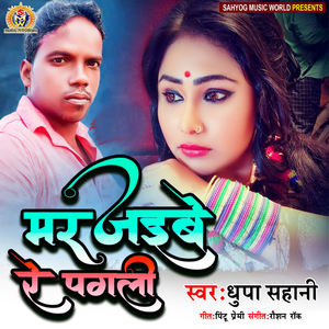 Mar Jaibe Re Pagli
