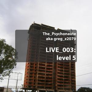 level 5