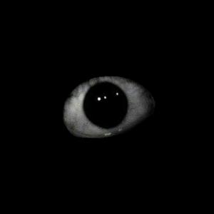 gone (feat. Majup)