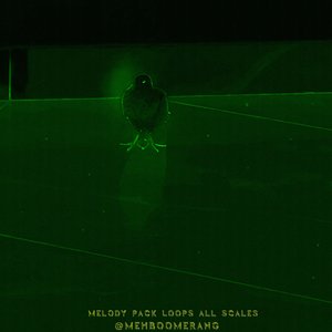 154 Bpm Melody Loop Part 2 (All Scales Included)