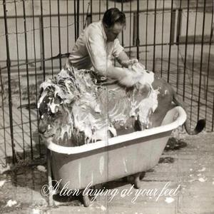 Serum/Morning Dove/Limbo (Live 8/12/23)